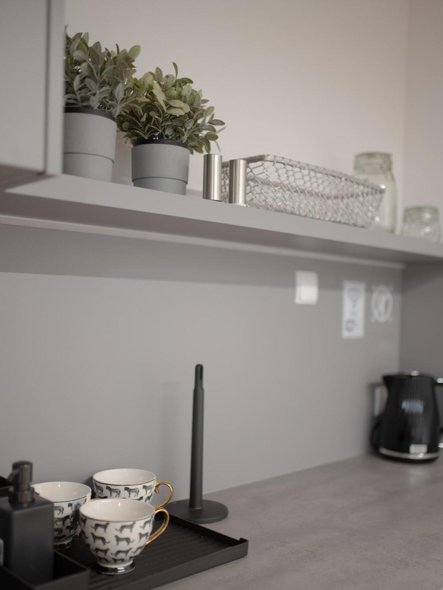 Apartamenty Mlynska 5 Bielsko-Biala Exterior foto